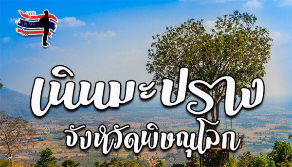 นั่งชิงช้าต้นไม้กันที่ภูรักไทย เนินมะปราง